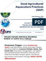 Gap (2022)