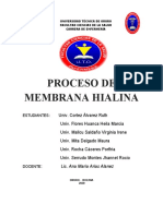 Word Proceso de Membrana Hialina