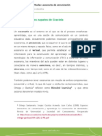 Guía Del Caso Los Zapatos de Graciela: Unidad 2: Niveles y Escenarios de Comunicación