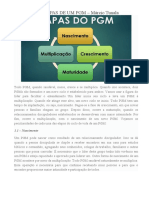 As 4 etapas de um PGM: nascimento, crescimento, maturidade e multiplicação