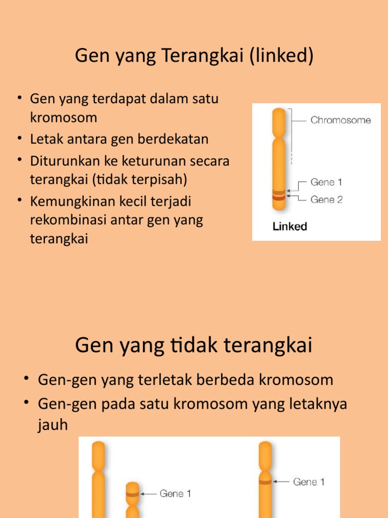 Materi III Pindah Silang | PDF