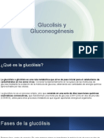 Glucolisis y Gluconeogenesis