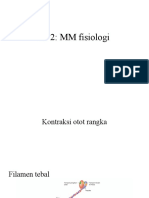 Fisiologi Sms