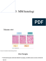 Histologi Sms