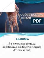 Noesbsicasdeanatomia CORTES