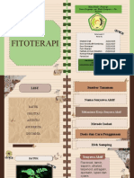 Kelas 6L - Kelompok 2 - Fitoterapi