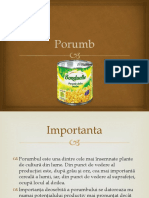 Referat Porumb
