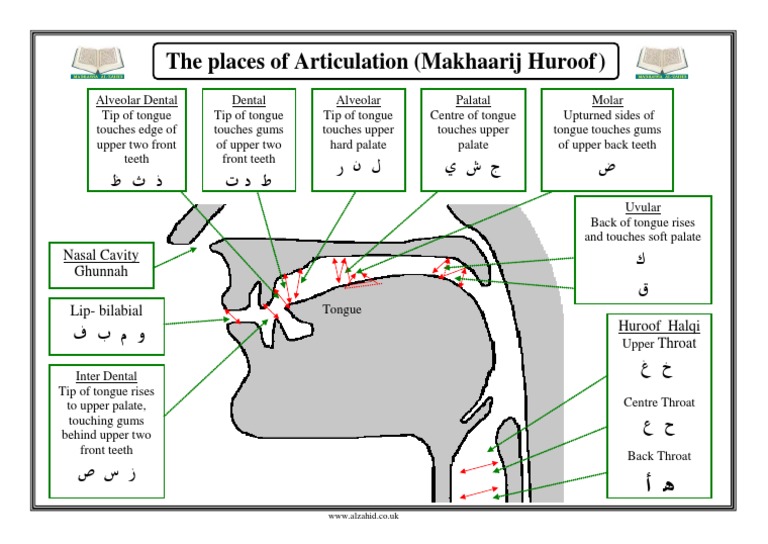 2 places of articulation pdf
