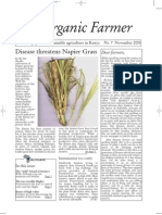 The Organic Farmer: Disease Threatens Napier Grass