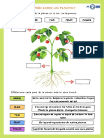 Exercicis Les Plantes 3er