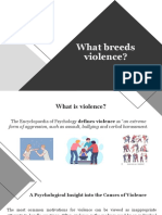 What Breeds Violence-Human Rights