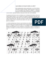 Taller Practicas Agroecologicas