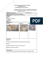 Fermentación de Las Levaduras