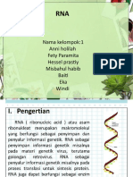 Biologi RNA & DNA