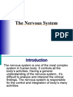 Anatomy and Physiology of Nervous System