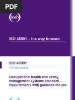 Iso 45000 | PDF | International Organization For Standardization ...