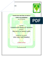 Modelado de Facies Tarea