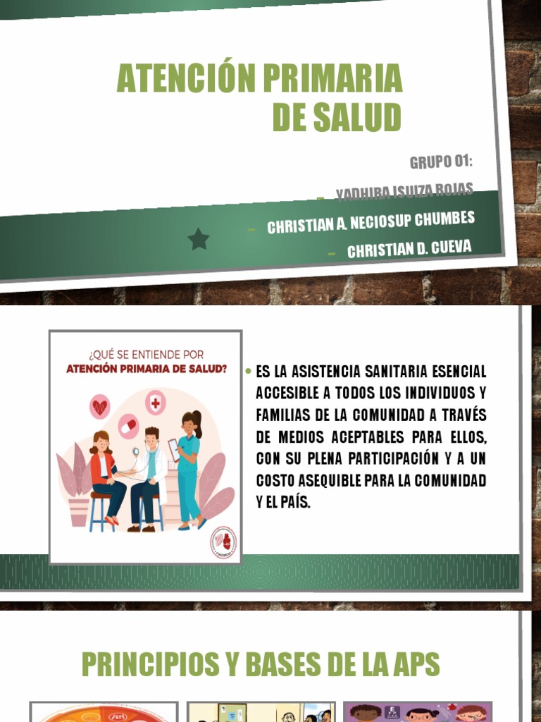 Principios de Atención Primaria de Salud | PDF | Cuidado de la salud