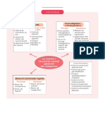 PDF dcg01 Schema 11