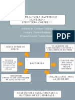 Regnul Monera:Bacteriile (Bacteria) Structura Corpului