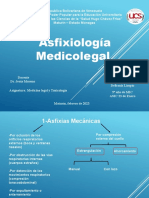 Asfixiologia