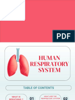 Respiratory System Workshop For Medical Students by Slidesgo