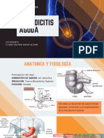 Apendicitis Aguda - Nahir Flores