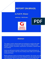 Mining Report On Brazil