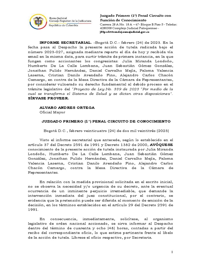 Auto Avoca Tutela 2023027 Niega Medida Privisional PDF Gobierno