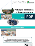 Ecologia - Aula Poluio Ambiental