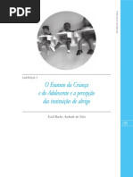 O Estatuto da Criança e do Adolescente e a percepção das instituições de abrigo
