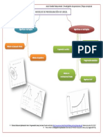 Mapa-Programacion No Lineal