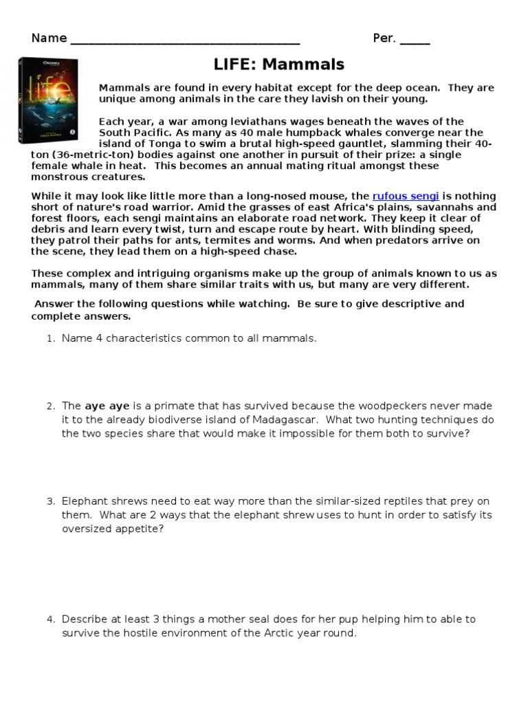 Characteristics and Behaviors of Mammals | PDF | Mammals | Predation