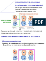 19 Comunicacion Durante El Desarrollo B