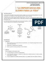 Exposición - Metabolismo Fotosíntesis