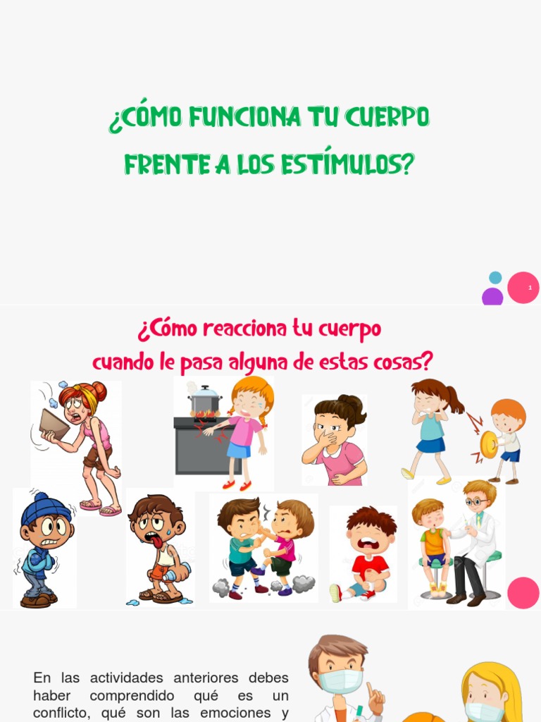 Ciencia - Cómo Funciona Tu Cuerpo Frente A Los Estimulos | PDF | Las ...