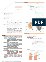 AUBF Lec Renal Function I PDF