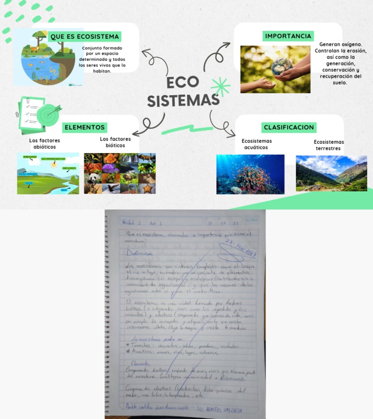 Mapa Mental de Ecosistemas para Niños | PDF