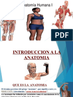 1 Tema Introduccion A La Anatomia