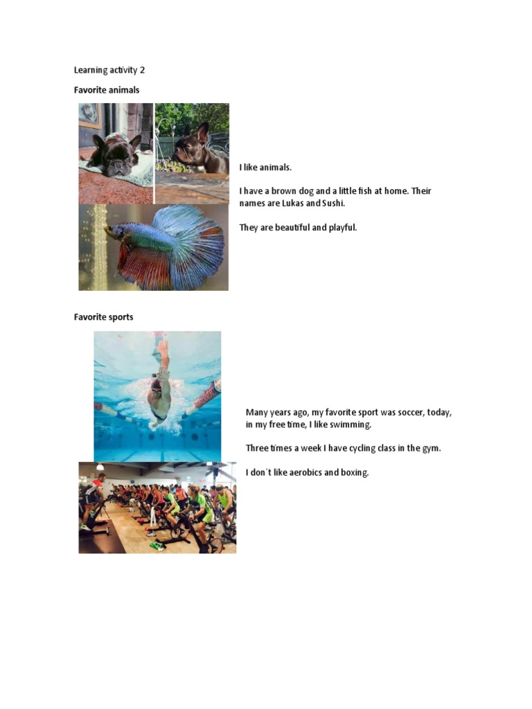 020 Activity 2 Evidence Personal Likes PDF