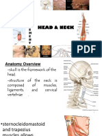 Week 4 Head Neck Face