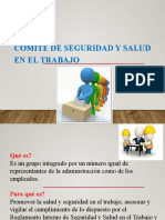 Comite de Seguridad y Salud en El Trabajo Riemann