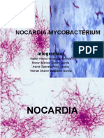 Nocardia Mycobacterium