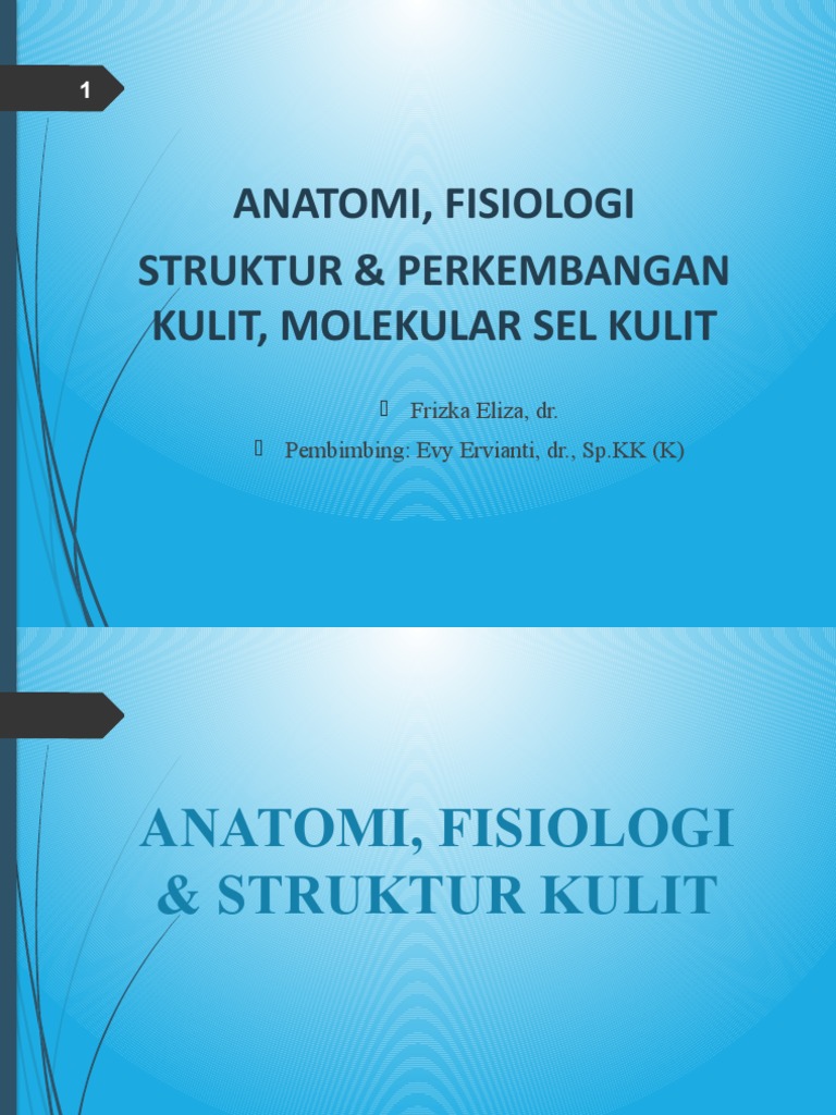 T2. Anatomi, Fisiologi, Perkembangan Kulit, Molekular | PDF