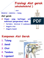 (Muskuloskeletal) : Anatomi Fisiologi Alat Gerak