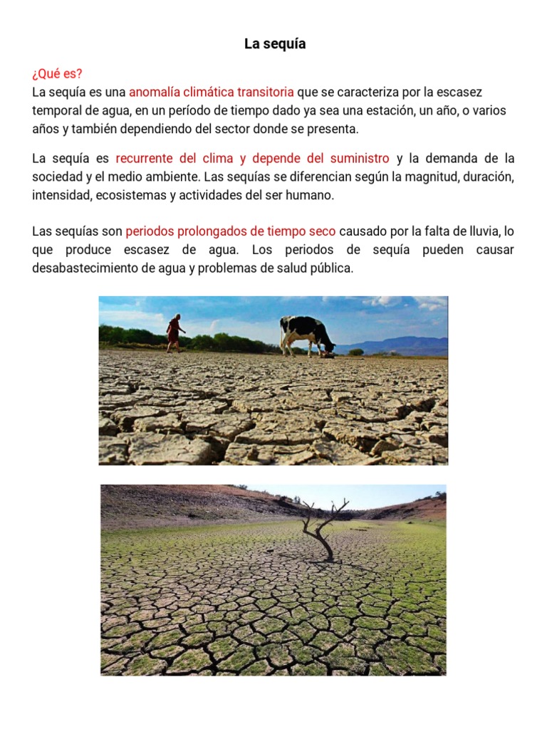 Causas y efectos de la sequía | PDF
