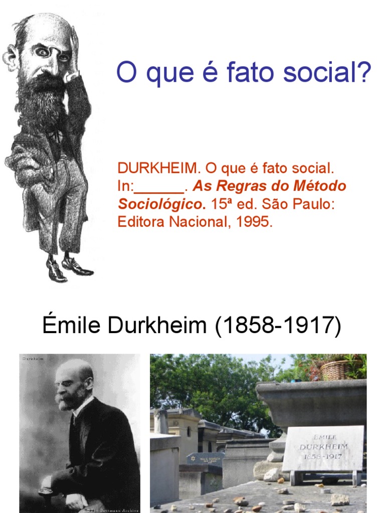 O Que É Fato Social PDF