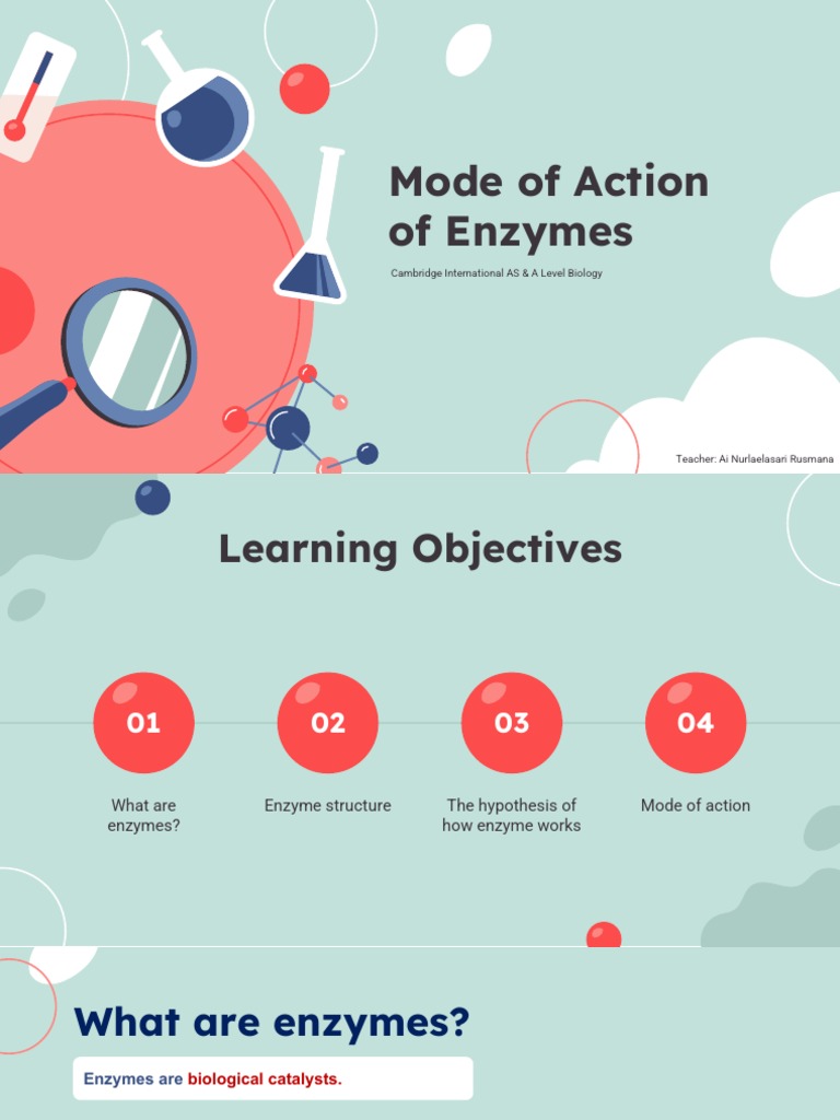 The Mode of Action of Enzymes PDF Enzyme Active Site