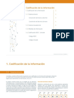 Codificacion de La Informacion