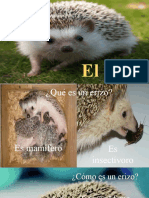 El Erizo